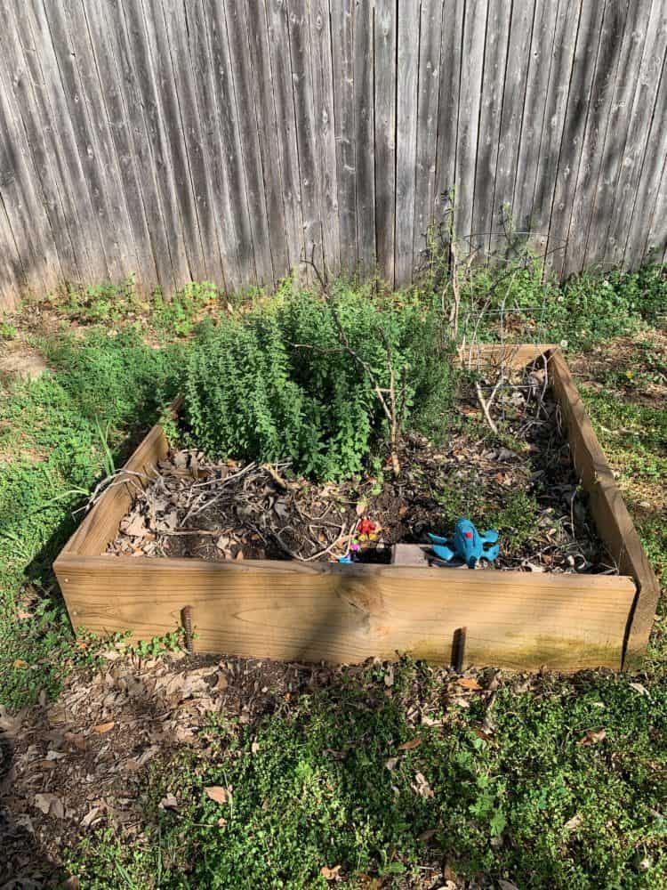 garden before spring prep
