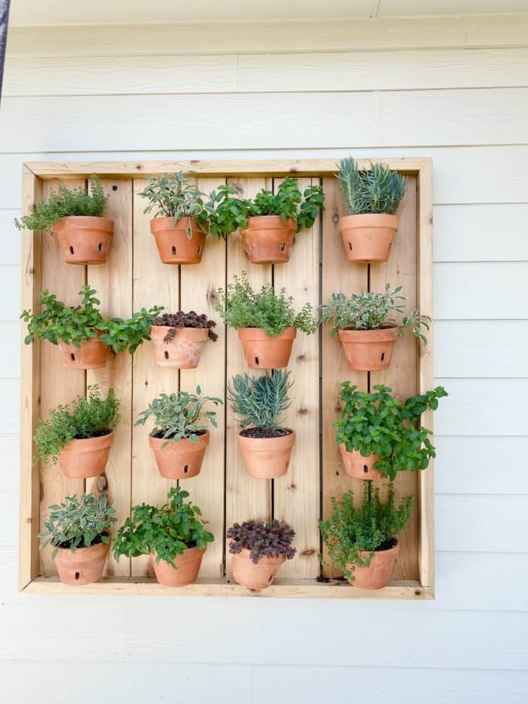 hanging herb garden