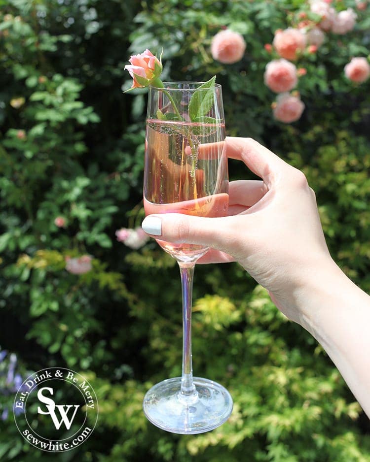 cheers to a great romantic rose bubbly champagne drink.