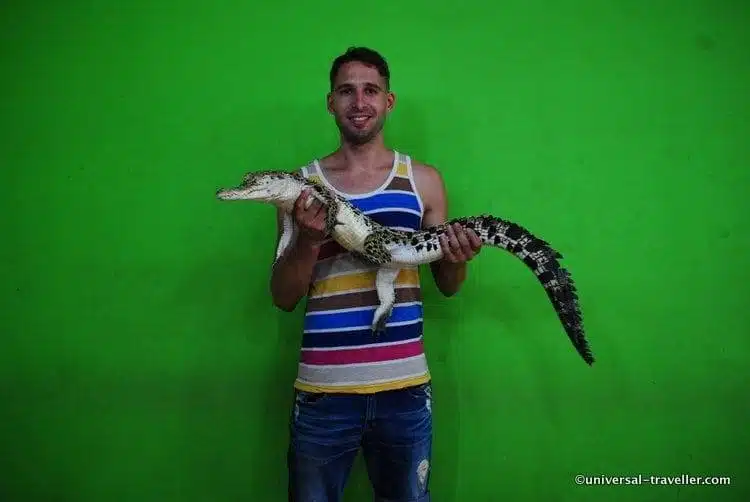 Crocodile Farm Palawan Wildlife Rescue Center in Puerto Princesa
