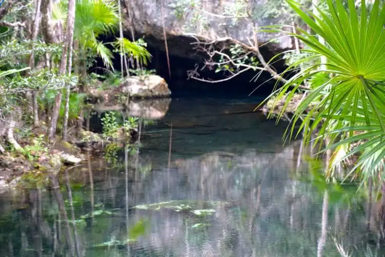 cenote tulum playa del carmen