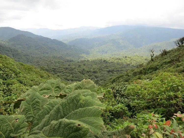 How to travel from Arenal Volcano, La Fortuna to Monteverde