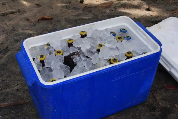 Costa Rica Beer - Imperial beer bottles on ice