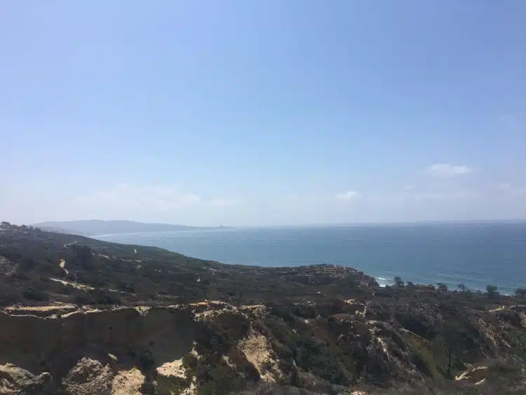 Hiking Torrey Pines in San Diego 1