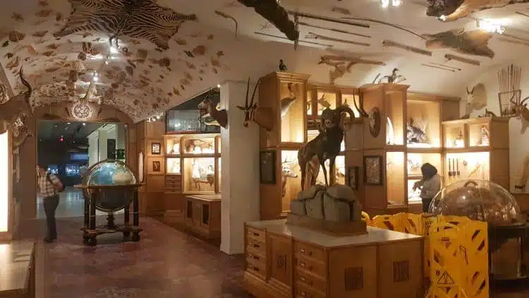 Houston Museum of Natural Science (HMNS)2
