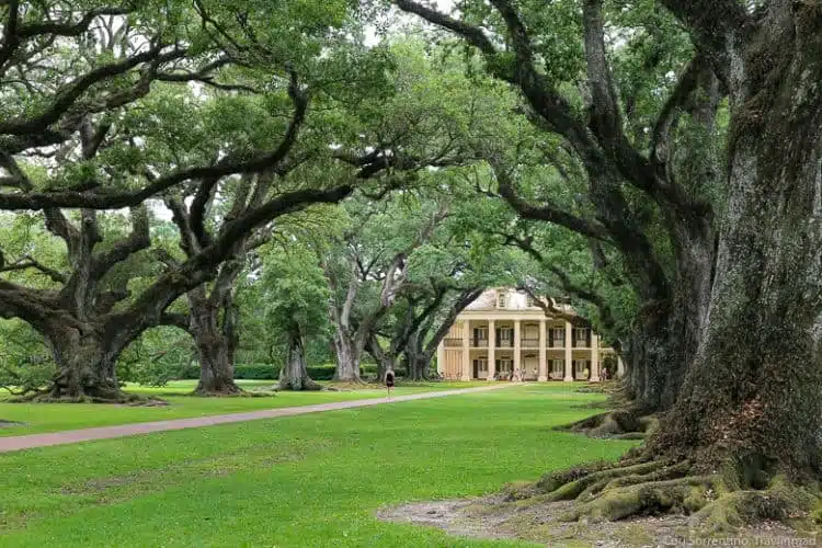 New-Orleans-plantations