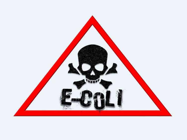 E Coli Dangers