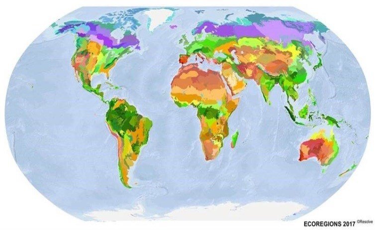 There are 846 ecozones on terrestrial earth. Bioregions are smaller areas inside them.