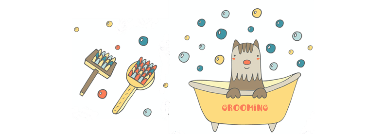 Bathtime! How to bathe your dog