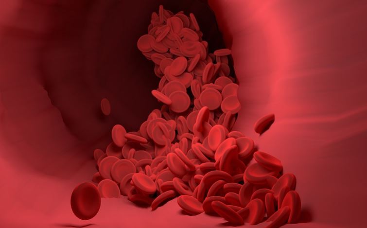 Blood Cells