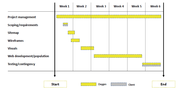 website development time schedule