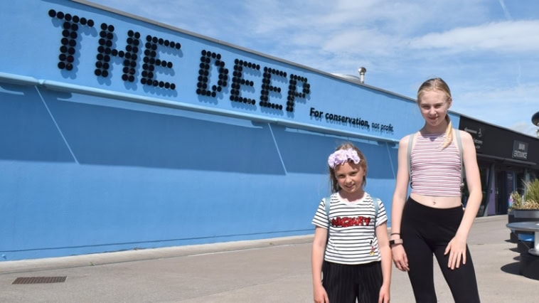 The Deep Hull | Things to do in Hull
