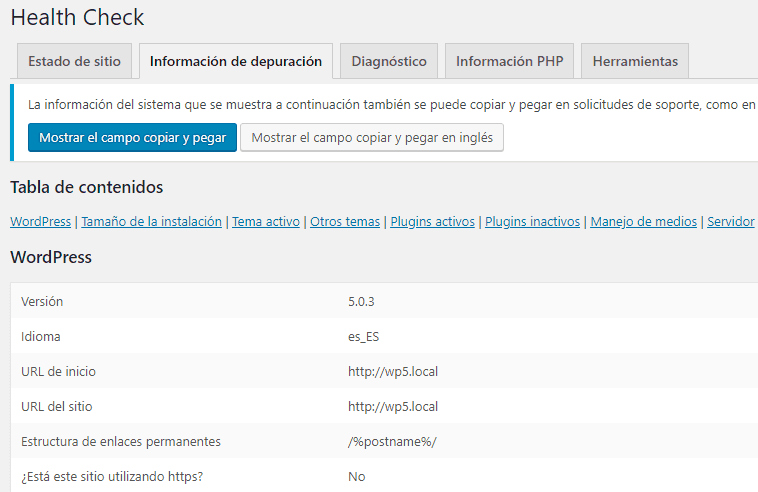 Se muestra la pestaña Información de depuración, la cual contiene detalles extensivos de nuestra instalación