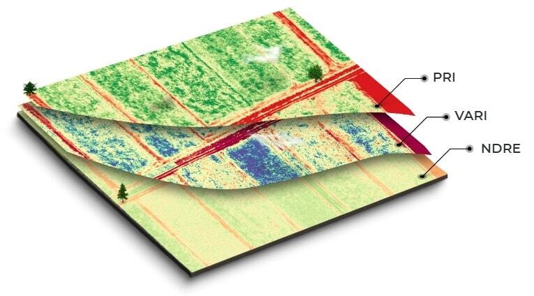 New Ways to Manage Seed Trials and Trial Plots in 4 Easy Steps 3 seed trials and trial plots analysis data