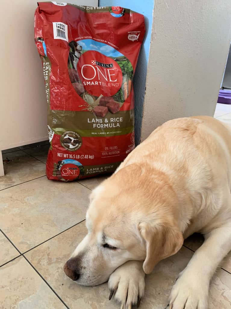 dog sleeping in front of bag of dog food