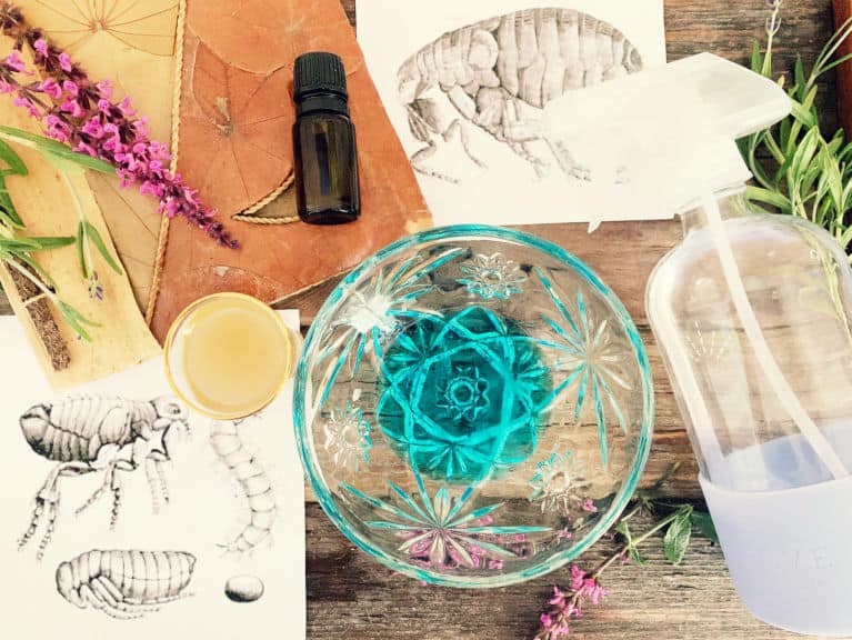 supplies for killing fleas naturally on a wood tray with herbs and jars