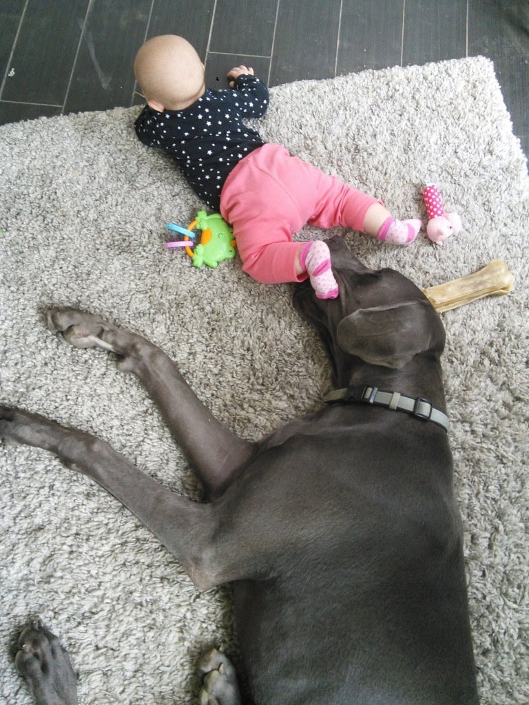 And kicking her dog in the face... he doesn't mind, she's been sampling food and he gets to try that too if he stays close enough to her... what's a kick if he gets a pea...
