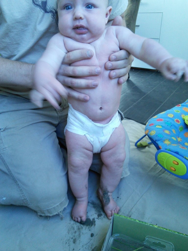 and go! Hazel was fairly unimpressed and dug her toes in real good :)