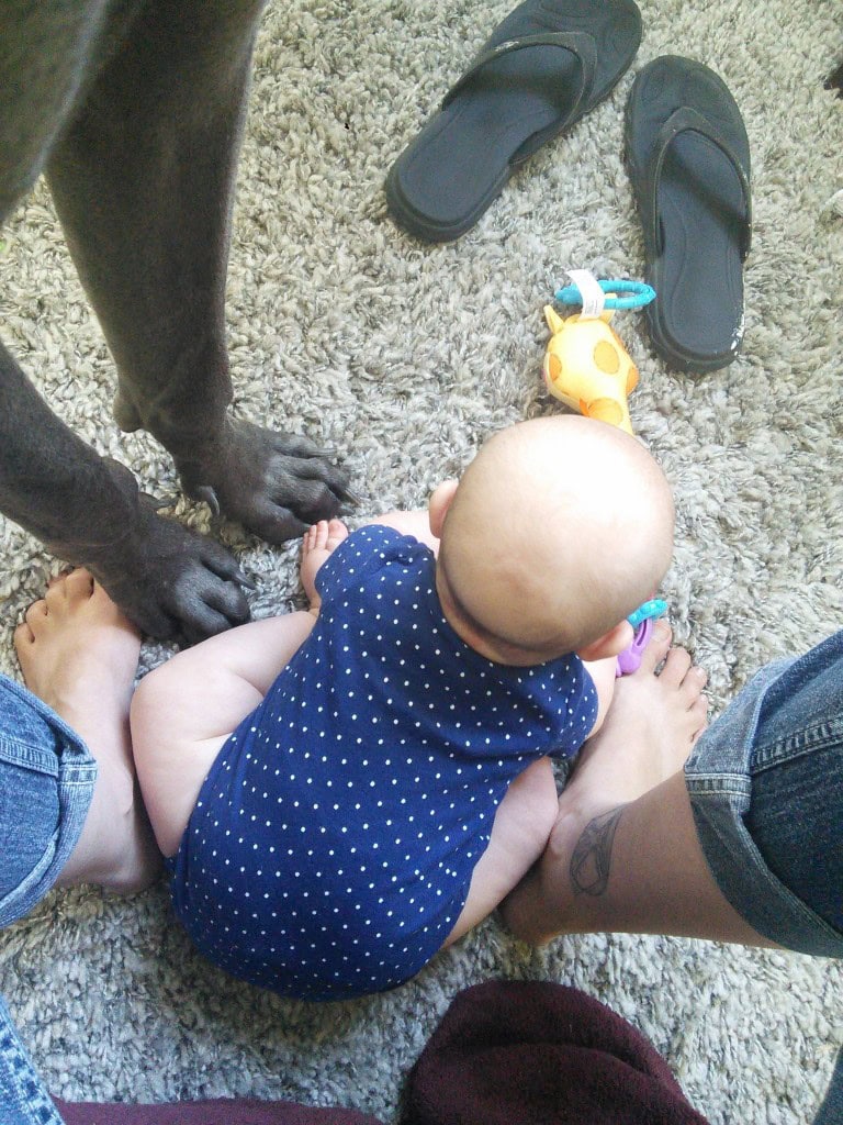 Some scale comparison, Denver likes to play 'everyone touch everyone' all the time :)