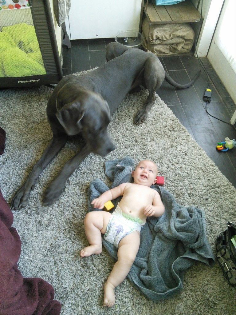 He kinda digs hanging on the floor with little sis