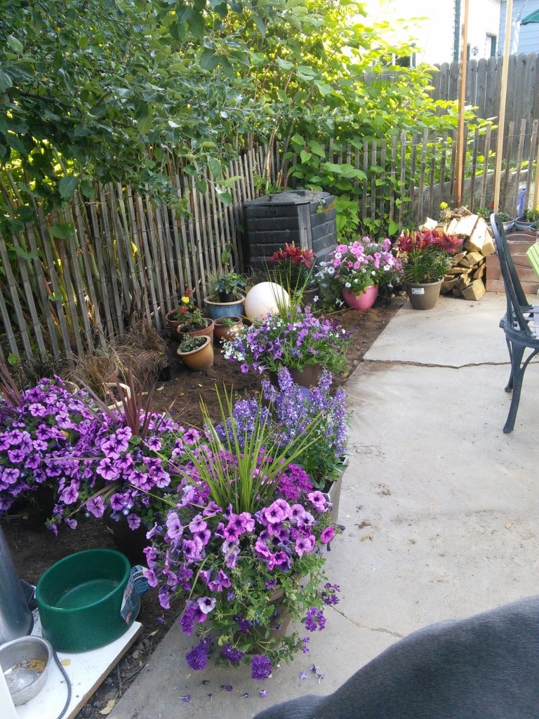All the pretty flowers!
