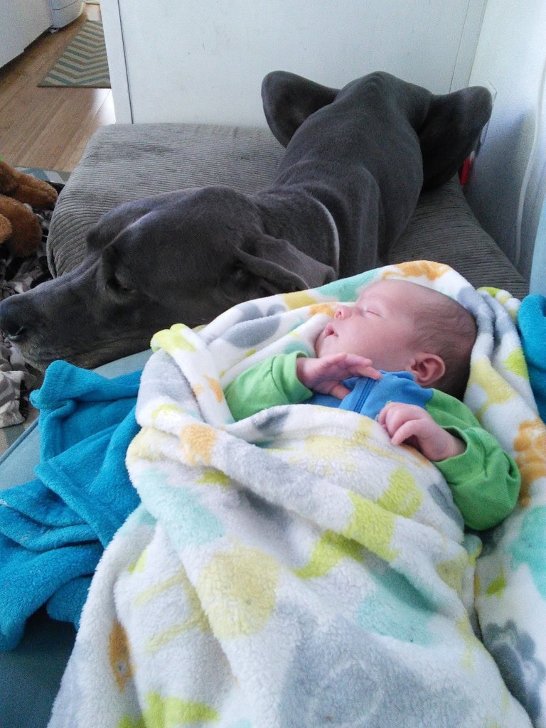 Denver likes Miles