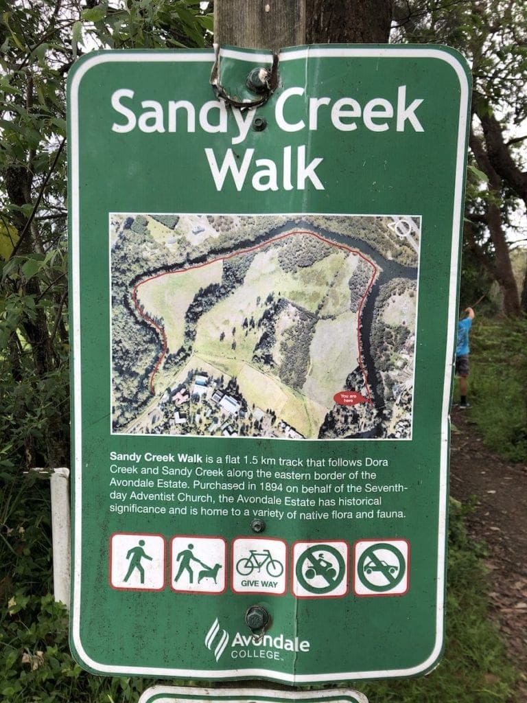 Sandy Creek Walk Dora Creek