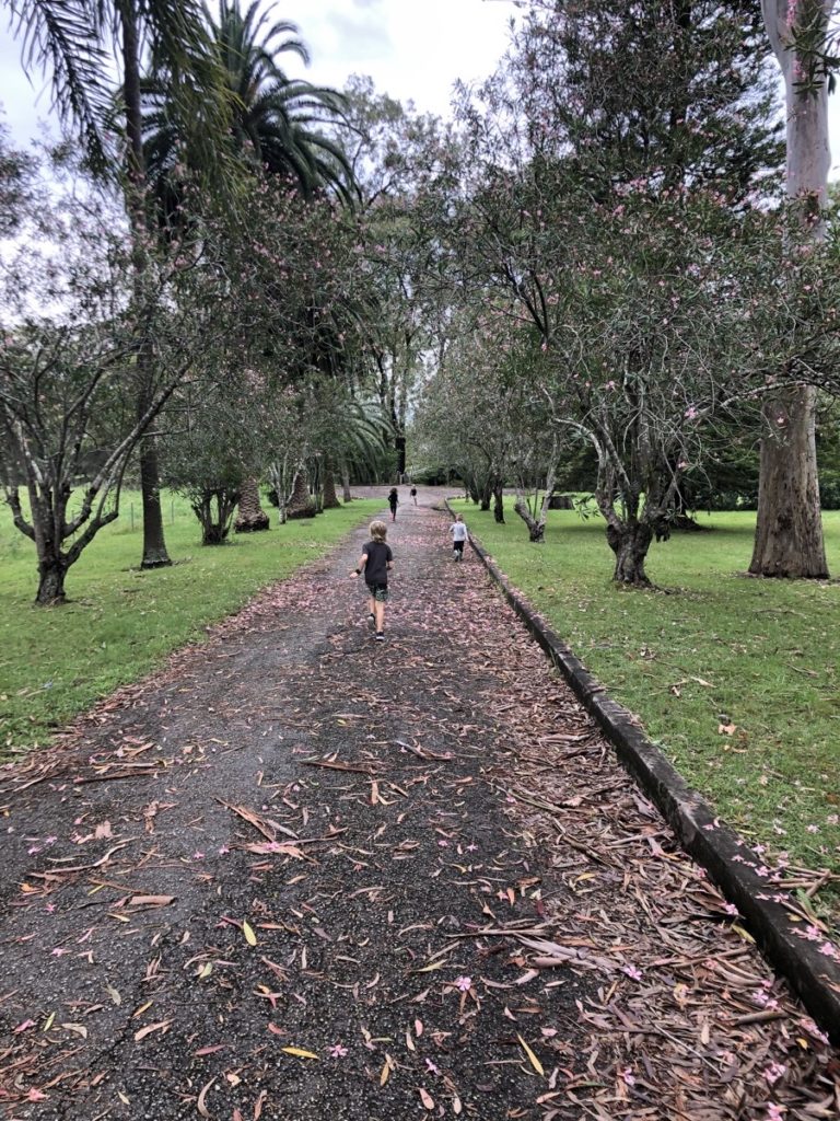 Sandy Creek Track Walk Cooranbong