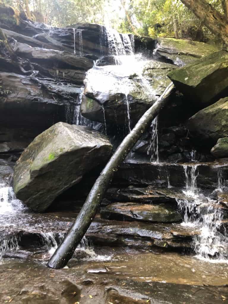 Somersby Falls Central Coast