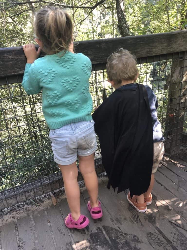 Somersby Falls