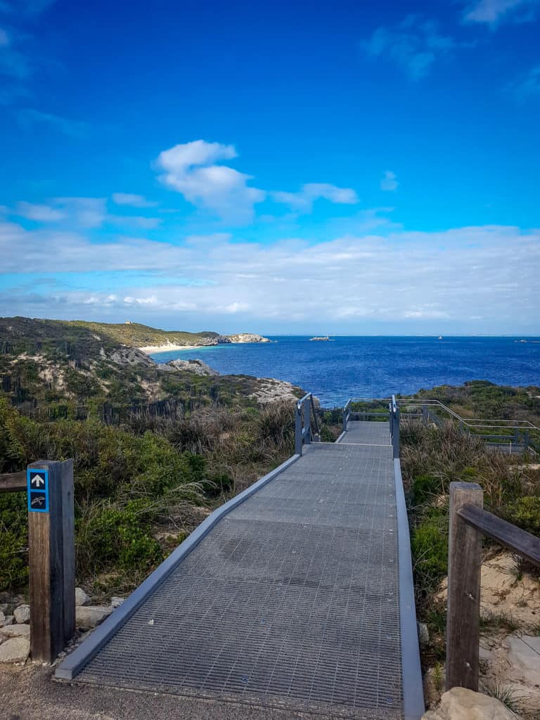 Rottnest Island home to the worlds happiest animal AKA Quokka