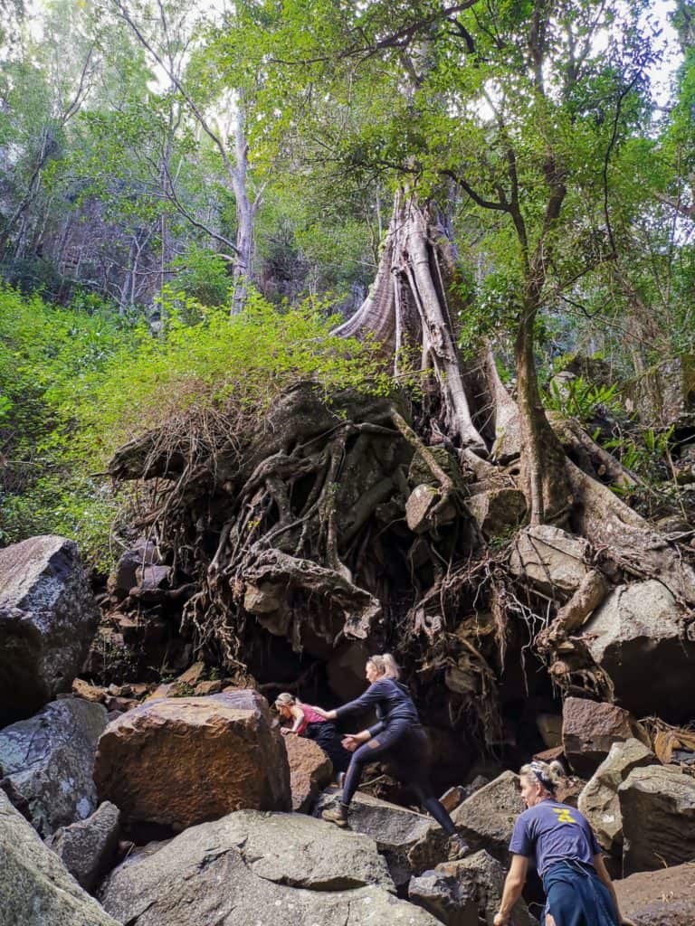 Lips Falls Queensland
