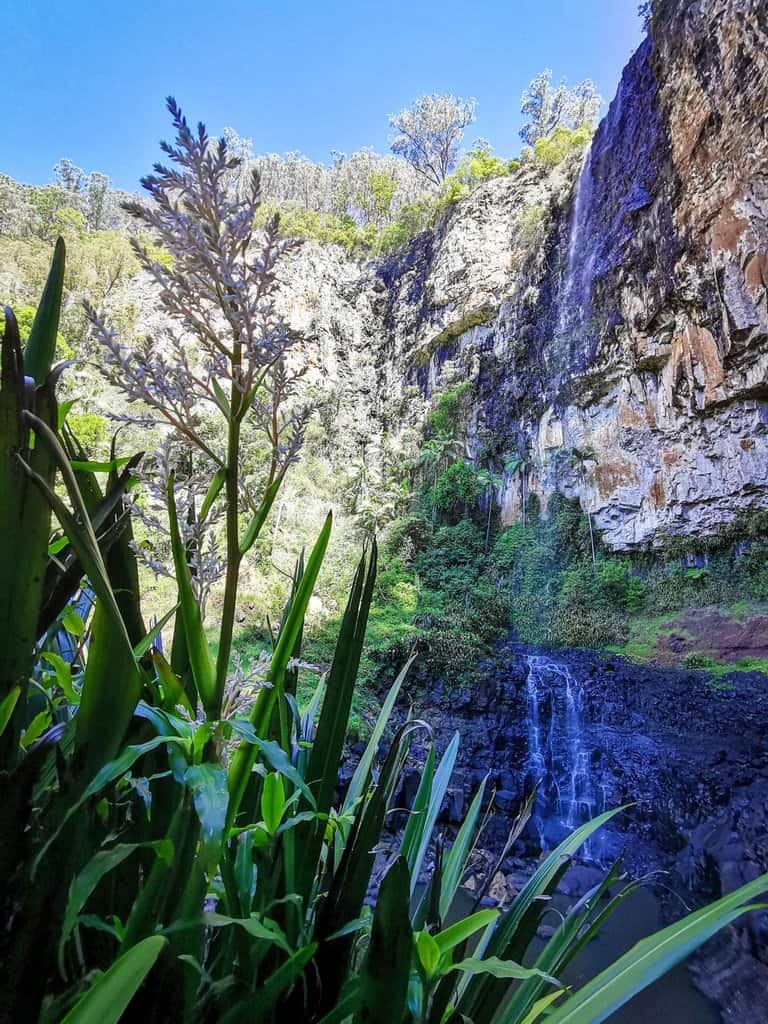Purling Brook falls