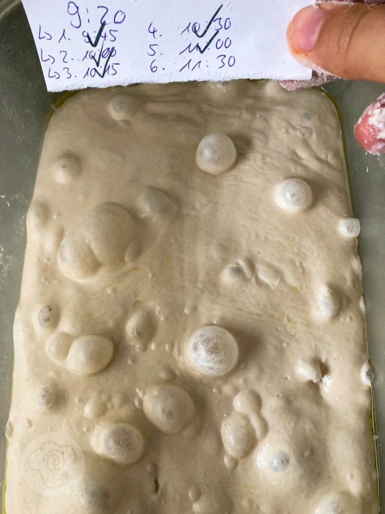 Luftige Ciabatta Brötchen 5 Teig für Ciabatta Brötchen mit Poolish/Vorteig nach der Gare über Nacht
