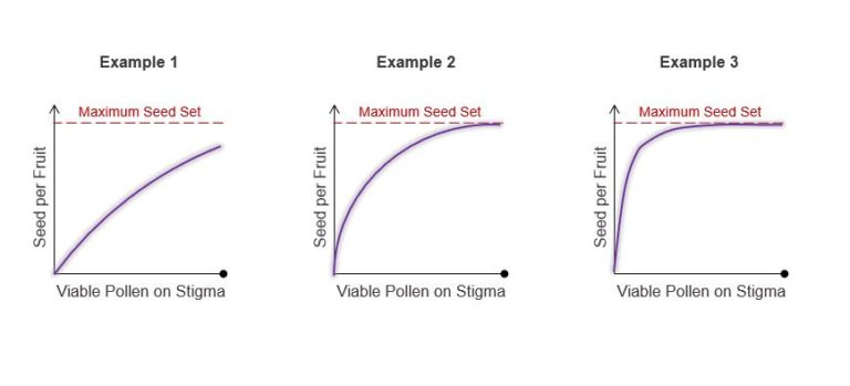 Visualization of varying correlation between pollen viability and seed set per tomato line