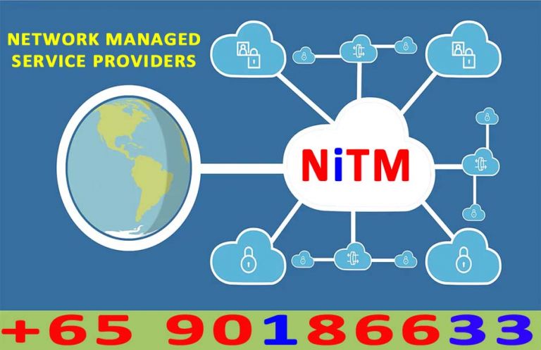NETWORK MANAGED SERVICE PROVIDERS