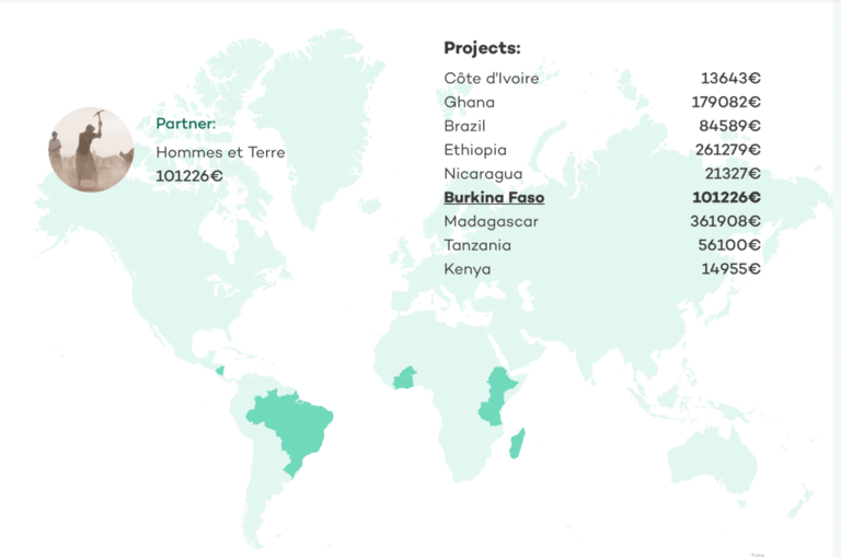 Ecosia global impact