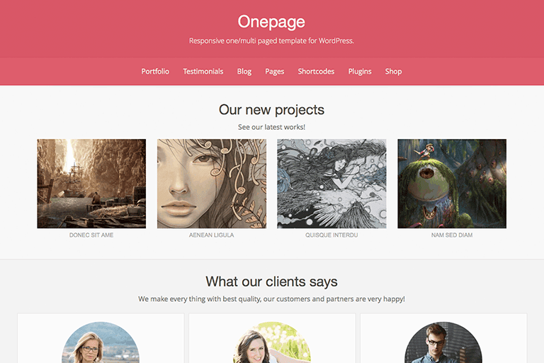 Onepage - onepage Onepage WordPress Theme