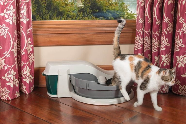 petsafe simply clean démo