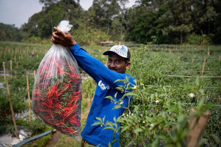 TaniHub Intensively Expands to Regions after Receiving IDR 942 Billion (source: special) TaniHub Intensively Expands to Regions after Receiving IDR 942 Billion