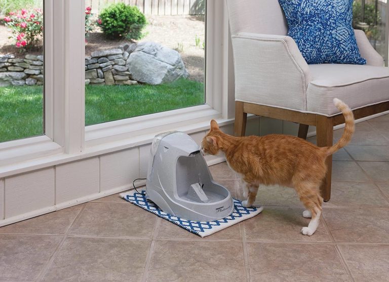 petsafe fontaine a eau drinkwell