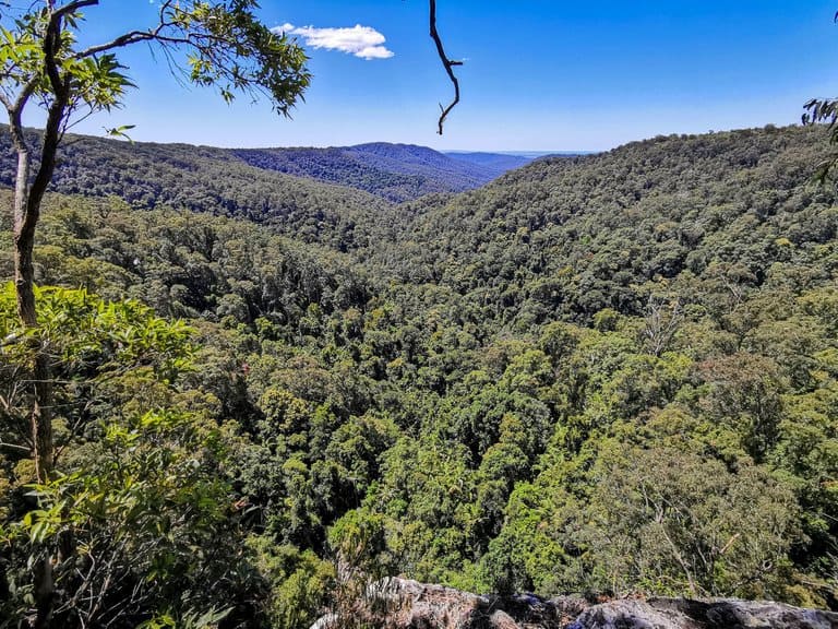 lookout at Purling Brook falls