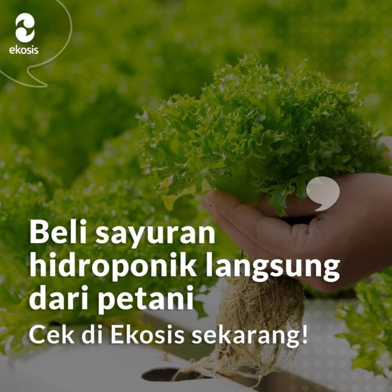 Kemendes Collaborates with Ekosis to Promote Farmers and Fishermen’s Welfare (source: special) Kemendes Collaborates with Ekosis to Promote Farmers and Fishermen’s Welfare