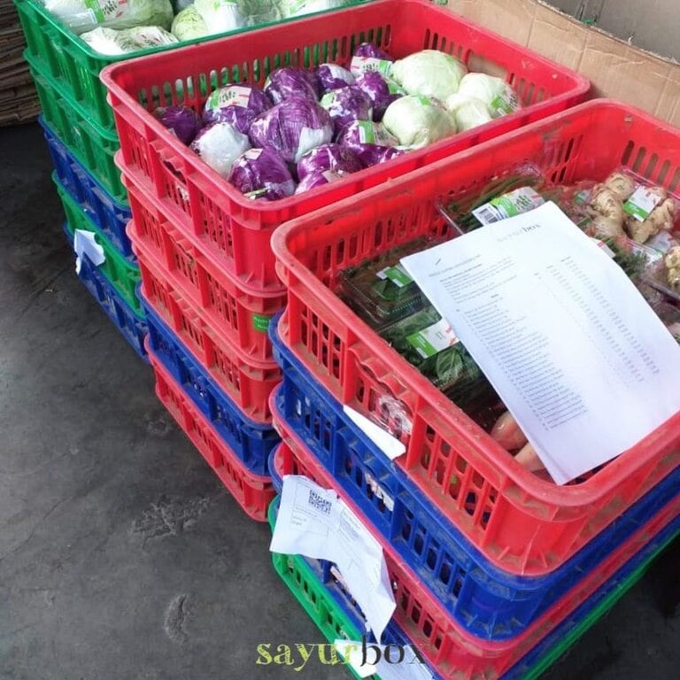 PT Astra International Invests in Sayurbox with IDR 72 Billion (source: special) PT Astra International Invests in Sayurbox with IDR 72 Billion