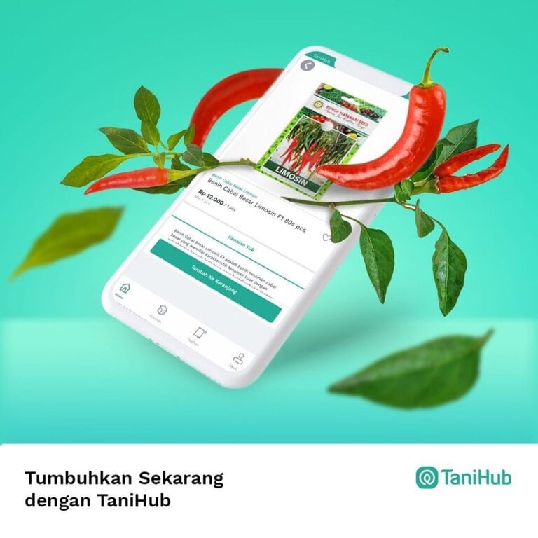 TaniHub & Sayurbox's Strategy to Anticipate Transaction Spikes during Ramadan (source: special) TaniHub & Sayurbox's Strategy to Anticipate Transaction Spikes during Ramadan