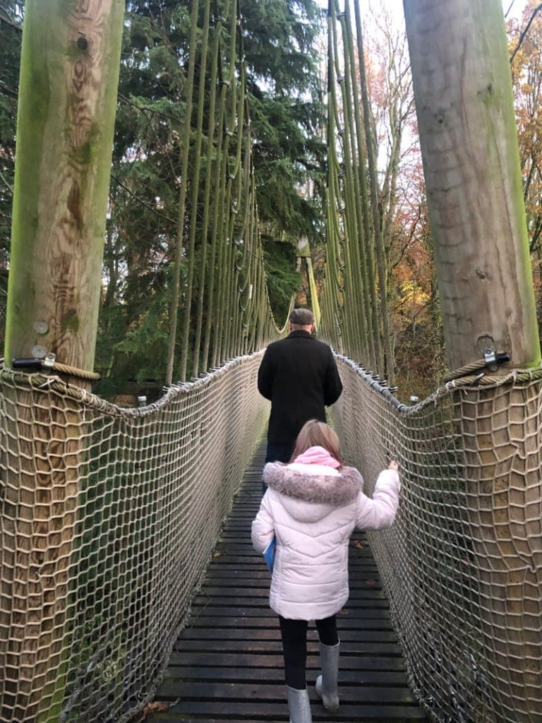 Alnwick Garden Winter activities
