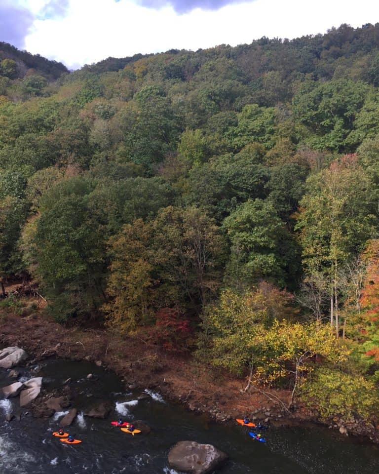ohiopyle state park observation bridge