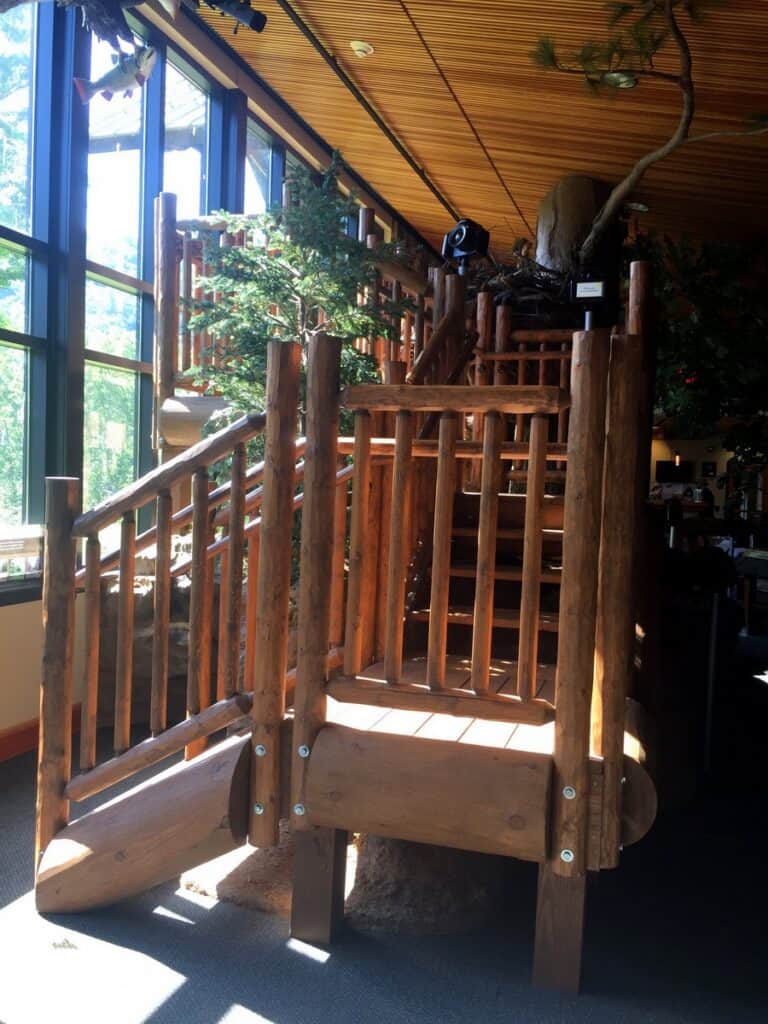 sinnemahoning state park interior viewing deck