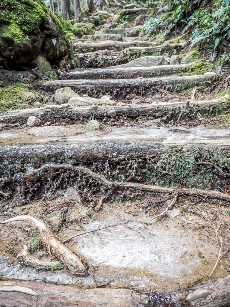 Japan S Sacred Kumano Kodo Walk In Winter Spiritual Travels