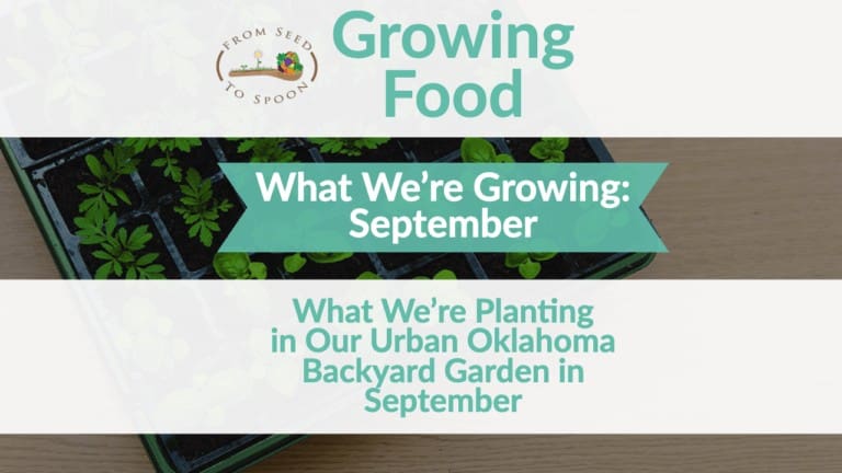September monthly article